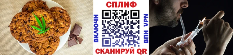 наркота  ОМГ ОМГ tor  Cannafood марихуана  Вязьма 