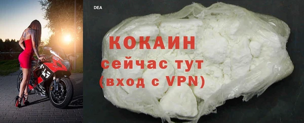 индика Богданович