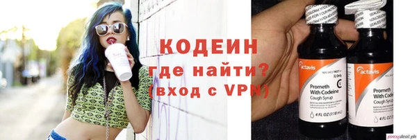 индика Богданович