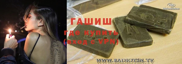 индика Богданович