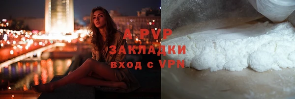 индика Богданович