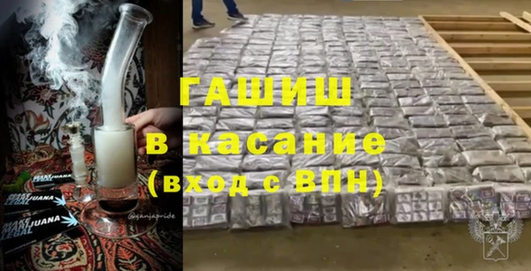 индика Богданович