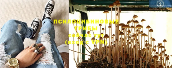 apvp Богородицк