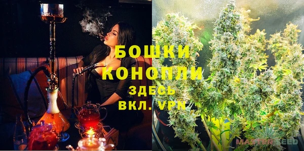 индика Богданович
