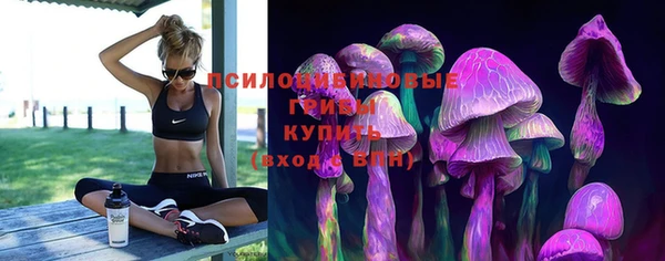 индика Богданович